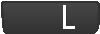 L Button (Switch)