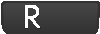 R Button (Switch)